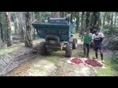 WEA08 PALM OIL TRACTOR