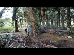 2150mm Wheelbase Palm Oil Tractor with Agricultural Tire 11L Fuel Tank Capacity