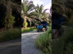 14HP Palm Oil Tractor 4 Wheel Drive Tractor For Oil Palm Garden